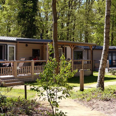 Chalet 6 Personen - Wiesenkerbel